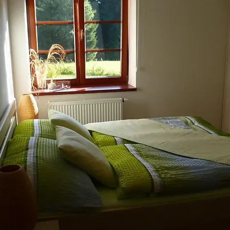 Apartmán Zlatá Vyhlídka Janské Lázně